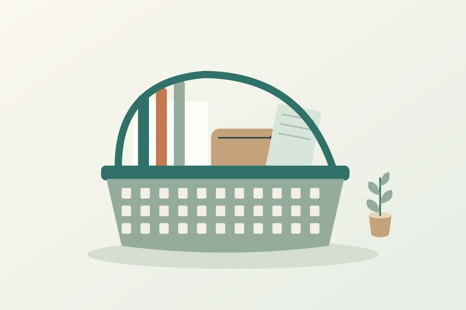 Daiso Korea Shopping Guide: Branches, Useful Finds and Checkout